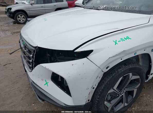 5NMJECAE2PH209476 2023 HYUNDAI TUCSON Белый 