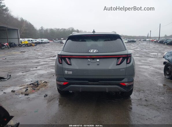 5NMJECDE7RH347724 2024 HYUNDAI TUCSON Серый 