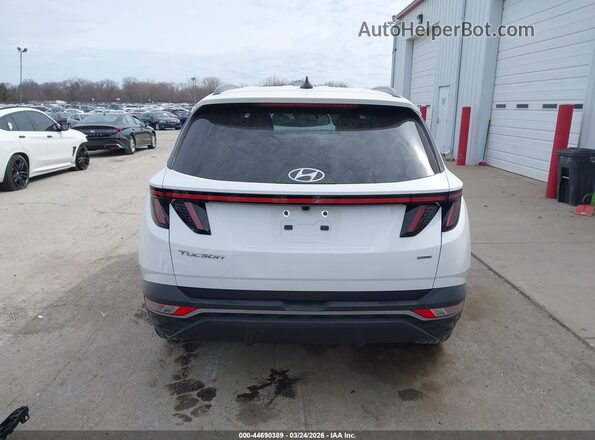 5NMJFCAE2PH258495 2023 HYUNDAI TUCSON White 