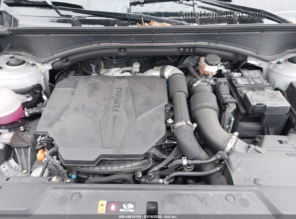 5NMP2DGL9RH028022 2024 HYUNDAI SANTA FE Gray უკანა ხედი
