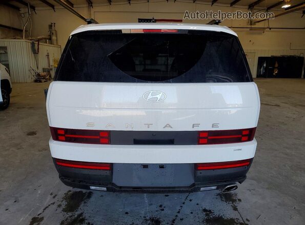 5NMP2DGLXSH137515 2025 HYUNDAI SANTA White Rear view