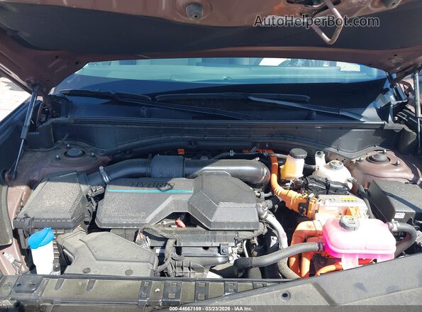 5NMP34G10RH014909 2024 HYUNDAI SANTA FE HYBRID Brown 