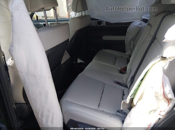 5NMP3DG18RH009487 2024 HYUNDAI SANTA FE HYBRID Green VIN կոդի պիտակի տեսք