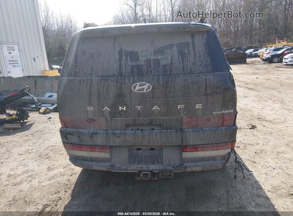 5NMP3DG18RH009487 2024 HYUNDAI SANTA FE HYBRID Green 
