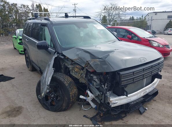 5NMP3DGL0RH050116 2024 HYUNDAI SANTA FE Gray Widok z przodu