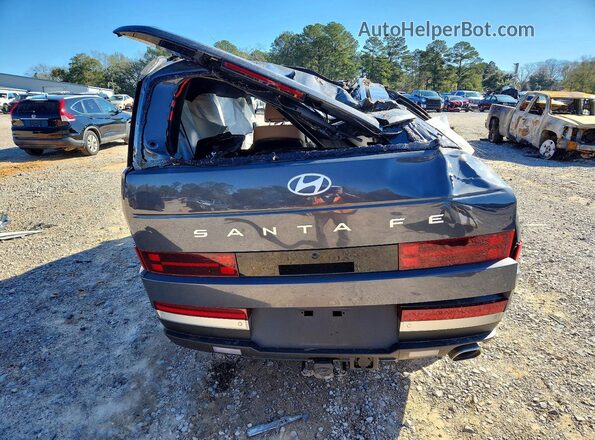 5NMP44GL0SH082907 2025 HYUNDAI SANTA Gray Widok z tyłu