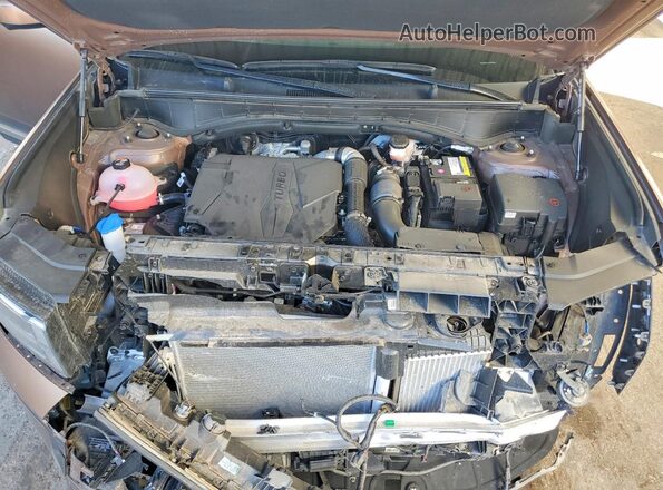 5NMP44GL4RH054702 2024 HYUNDAI SANTA Коричневый Вид подкапотного пространства