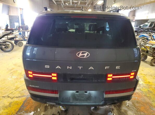 5NMP4DGL2SH089339 2025 HYUNDAI SANTA Gray Вид ззаду