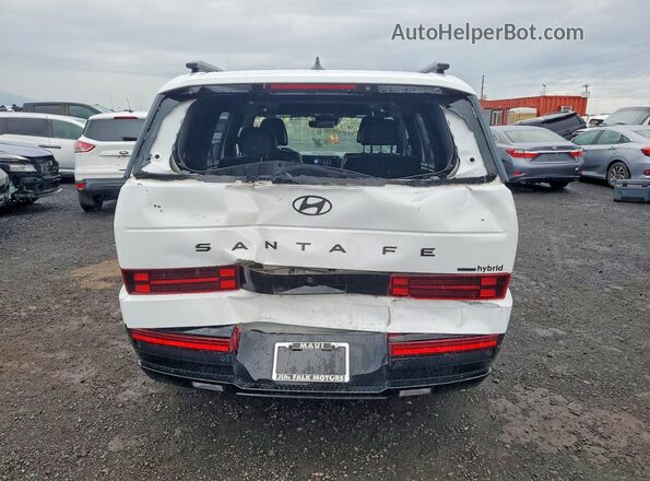 5NMP5DG10SH017518 2025 HYUNDAI SANTA White Vista trasera