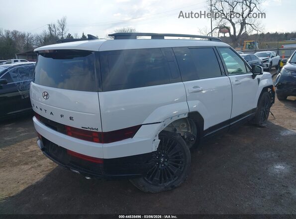 5NMP5DG12SH052254 2025 HYUNDAI SANTA FE HYBRID White Tył prawy