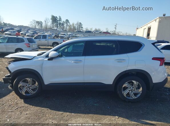 5NMS24AJ9PH566217 2023 HYUNDAI SANTA FE Белый Панорамный вид салона 360°