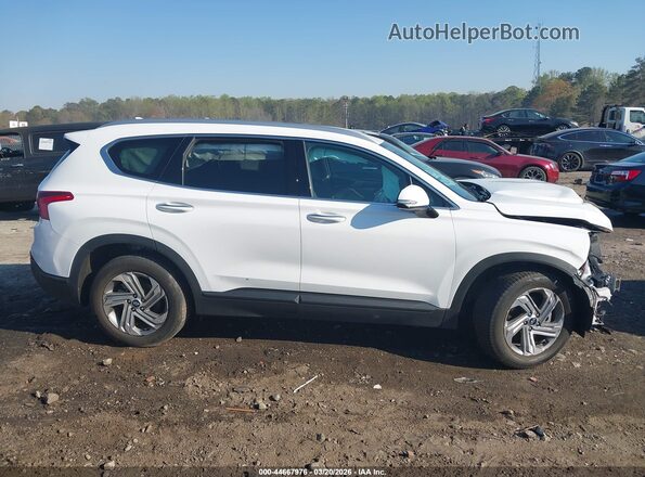 5NMS24AJ9PH566217 2023 HYUNDAI SANTA FE Белый Вид задней части салона