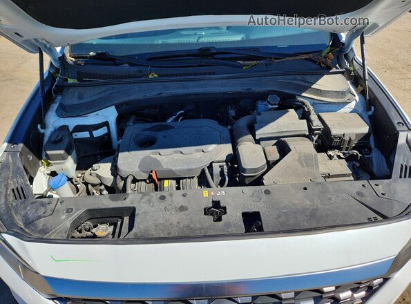 5NMS2CADXKH116508 2019 HYUNDAI SANTA White Vista interior trasera