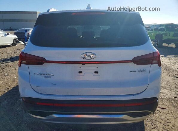 5NMS2DA11PH001749 2023 HYUNDAI SANTA FE HYBRID BLUE White Rear view