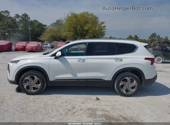 5NMS2DAJ4PH604467 2023 HYUNDAI SANTA FE Белый 