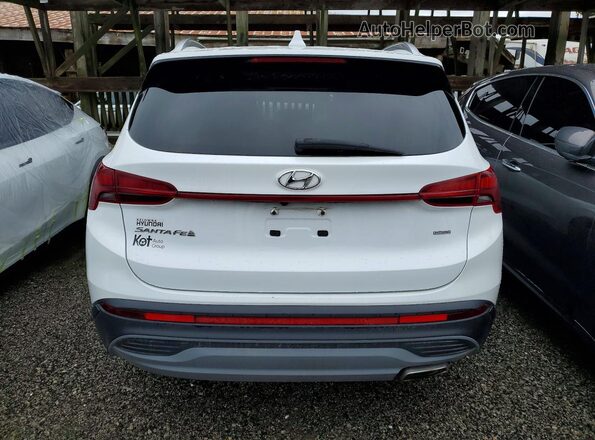 5NMS2DAJ8MH339449 2021 HYUNDAI SANTA White Հետևի տեսք