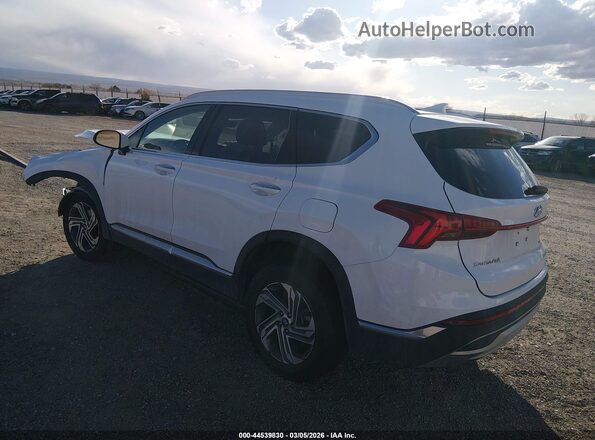 5NMS3DAJ4PH532358 2023 HYUNDAI SANTA FE Белый 