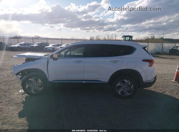 5NMS3DAJ4PH532358 2023 HYUNDAI SANTA FE Белый 
