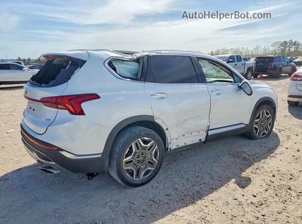 5NMS44AL9MH370706 2021 HYUNDAI SANTA White უკანა მარჯვენა