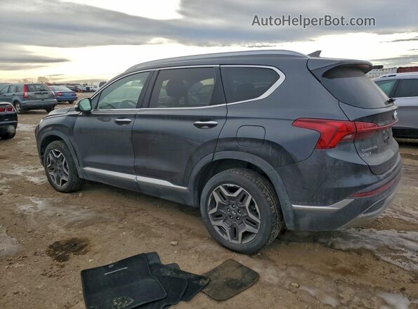 5NMS4DAL5MH352008 2021 HYUNDAI SANTA Charcoal Задня ліва чверть