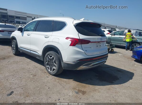 5NMS4DAL9PH609157 2023 HYUNDAI SANTA FE White Հետևի ձախ