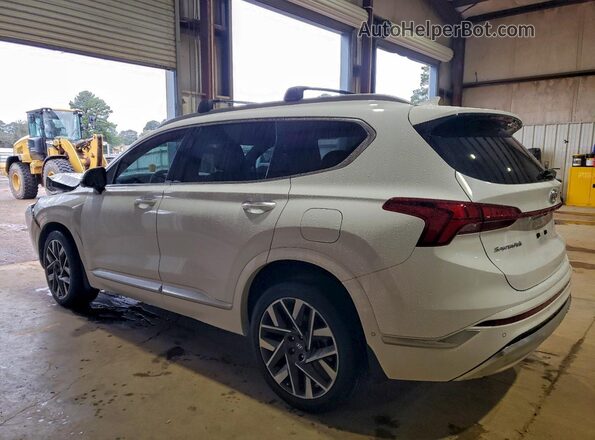 5NMS54AL5PH614949 2023 HYUNDAI SANTA FE CALLIGRAPHY White Tył lewy