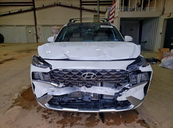 5NMS54AL5PH614949 2023 HYUNDAI SANTA FE CALLIGRAPHY White Widok z przodu