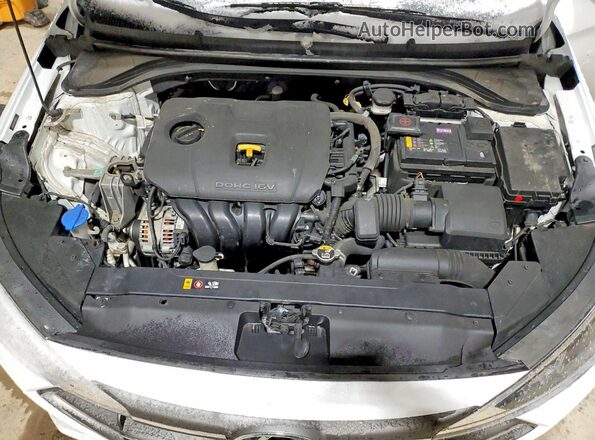 5NPD74LF2LH505131 2020 HYUNDAI ELANTRA White Սալոնի հետևի տեսք