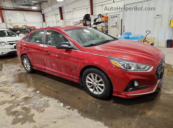 5NPE24AF1KH798962 2019 HYUNDAI SONATA Red 