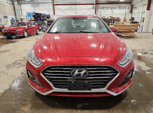 5NPE24AF1KH798962 2019 HYUNDAI SONATA Red 