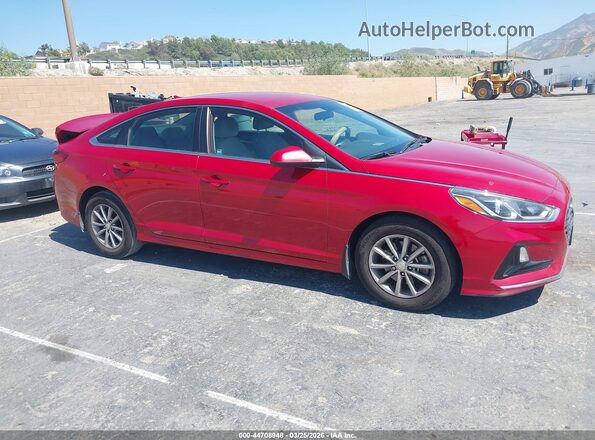 5NPE24AF2KH804798 2019 HYUNDAI SONATA Red უკანა სალონის ხედი
