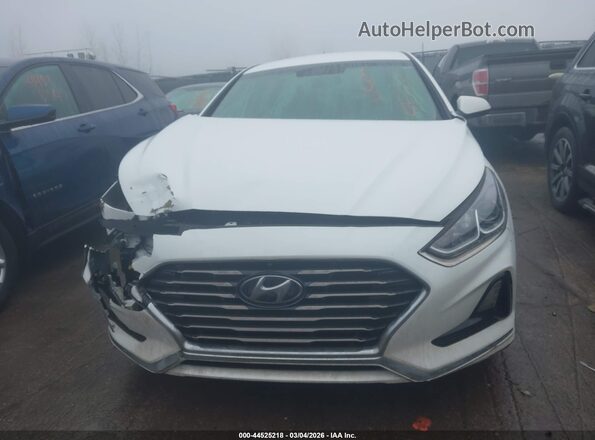 5NPE24AF4KH776227 2019 HYUNDAI SONATA White 