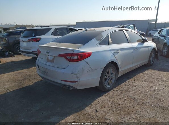 5NPE24AF5GH347699 2016 HYUNDAI SONATA White Задня права чверть
