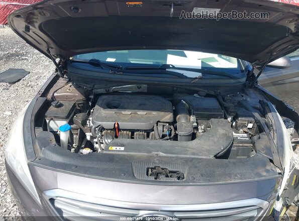 5NPE24AF5GH348951 2016 HYUNDAI SONATA Brown Вид ззаду