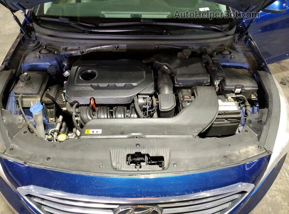 5NPE24AF5GH357164 2016 HYUNDAI SONATA Синий Вид задней части салона