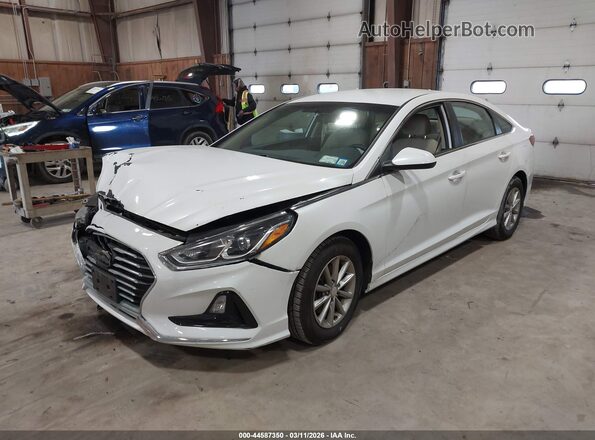 5NPE24AF5KH747934 2019 HYUNDAI SONATA White 
