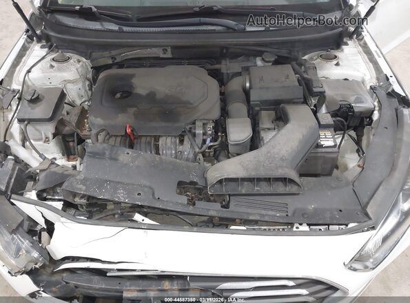 5NPE24AF5KH747934 2019 HYUNDAI SONATA White 