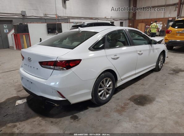 5NPE24AF5KH747934 2019 HYUNDAI SONATA White 