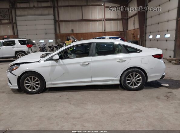5NPE24AF5KH747934 2019 HYUNDAI SONATA White 
