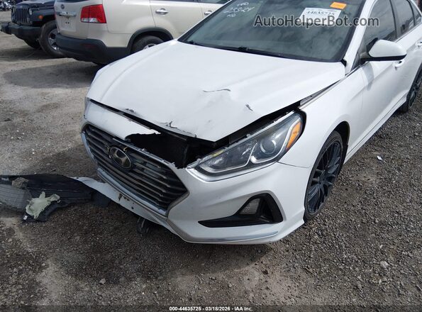 5NPE24AF5KH806951 2019 HYUNDAI SONATA White Vista frontal