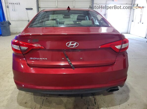 5NPE24AF6GH387175 2016 HYUNDAI SONATA Бордовый Вид сзади