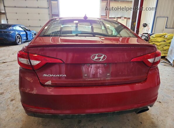 5NPE24AF7HH447563 2017 HYUNDAI SONATA Red Rear view