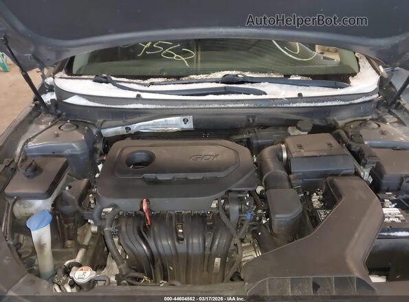 5NPE24AF7KH798352 2019 HYUNDAI SONATA Gray Rear view