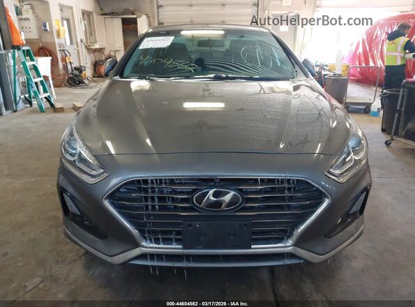 5NPE24AF7KH798352 2019 HYUNDAI SONATA Gray Rear interior view