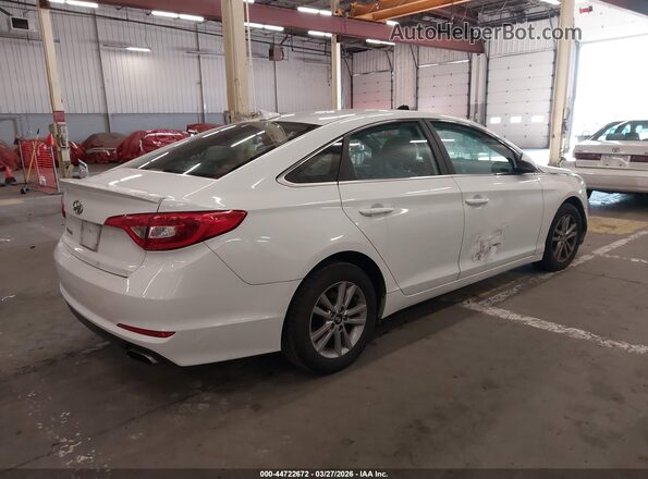 5NPE24AFXHH567504 2017 HYUNDAI SONATA White Tył prawy
