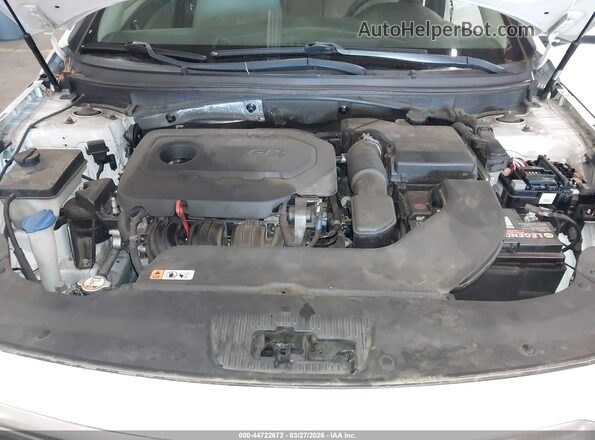 5NPE24AFXHH567504 2017 HYUNDAI SONATA White Widok z tyłu
