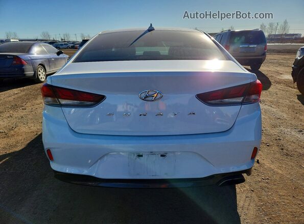 5NPE34AF0KH803887 2019 HYUNDAI SONATA White Вид ззаду