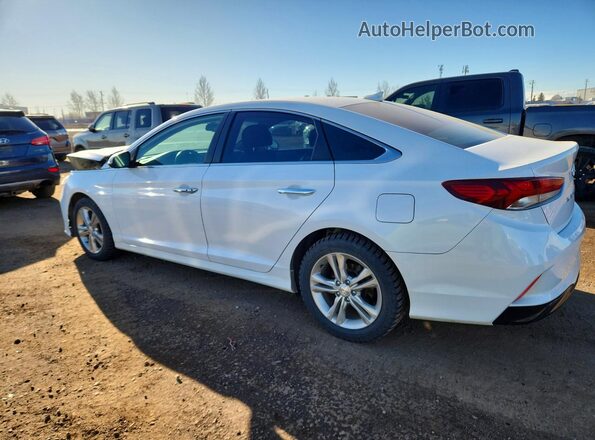 5NPE34AF0KH803887 2019 HYUNDAI SONATA White Задня ліва чверть
