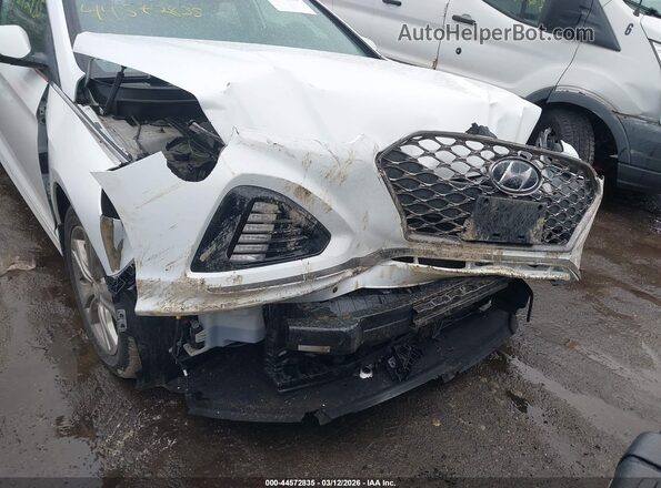 5NPE34AF1KH797808 2019 HYUNDAI SONATA Белый 