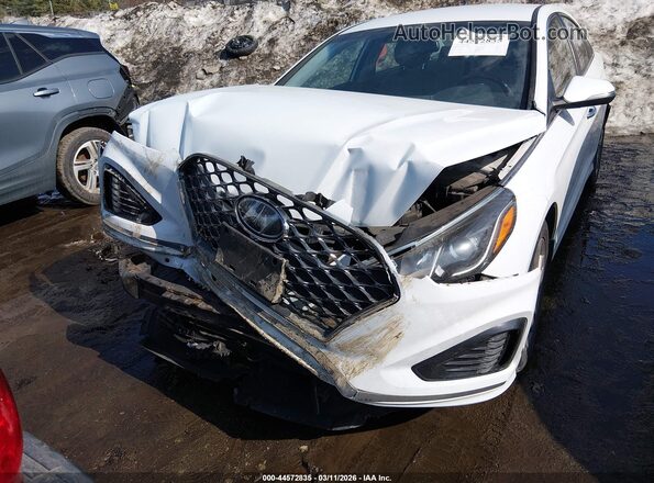 5NPE34AF1KH797808 2019 HYUNDAI SONATA Белый 